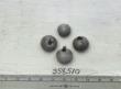 Click for 1 image(s) for this accession. FRUIT